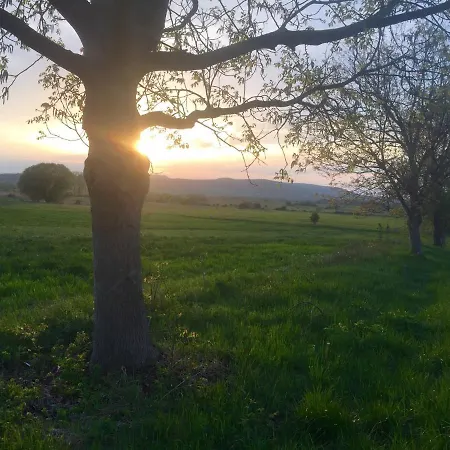 Káli Kerted Vendégházak Monoszló Mariska néni háza Extérieur photo