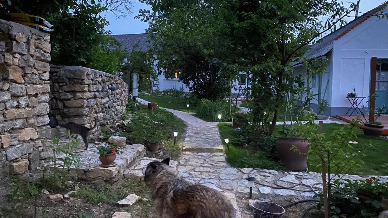 Villa Káli Kerted Monoszló Mariska Néni Háza Monoszlo